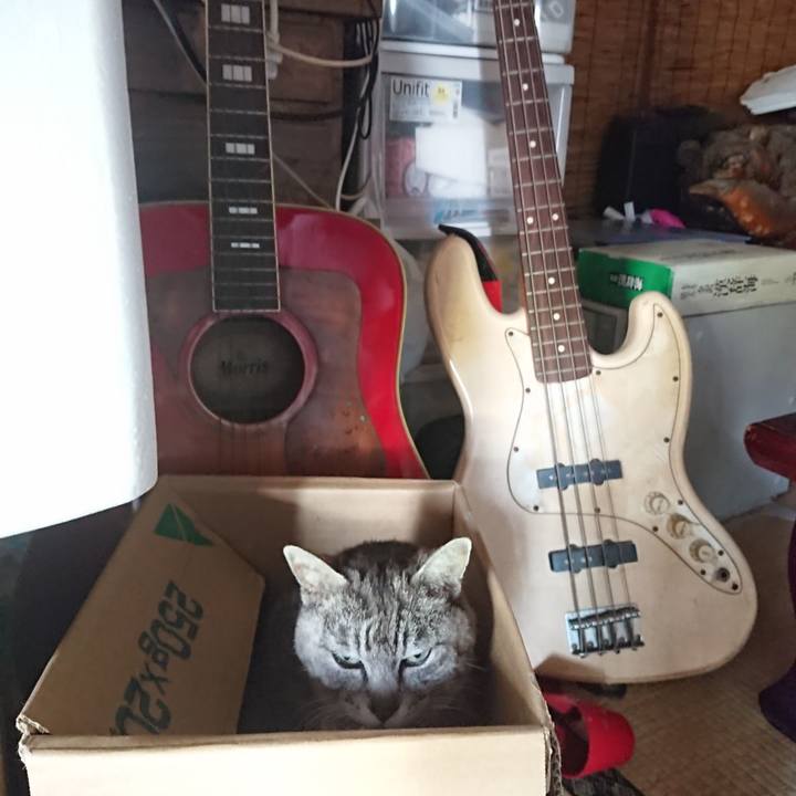 61c0bfce 9d89 413f 8a59 51201fb5e8c0 1590698999181