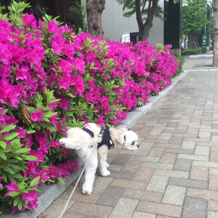 61c0c569 7d85 4ea5 ba99 7dc37733cbba 1524486613858