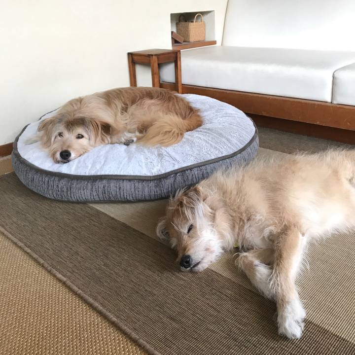 61c0d1be 6336 4b24 8618 602c579cf8ea 1580708752412