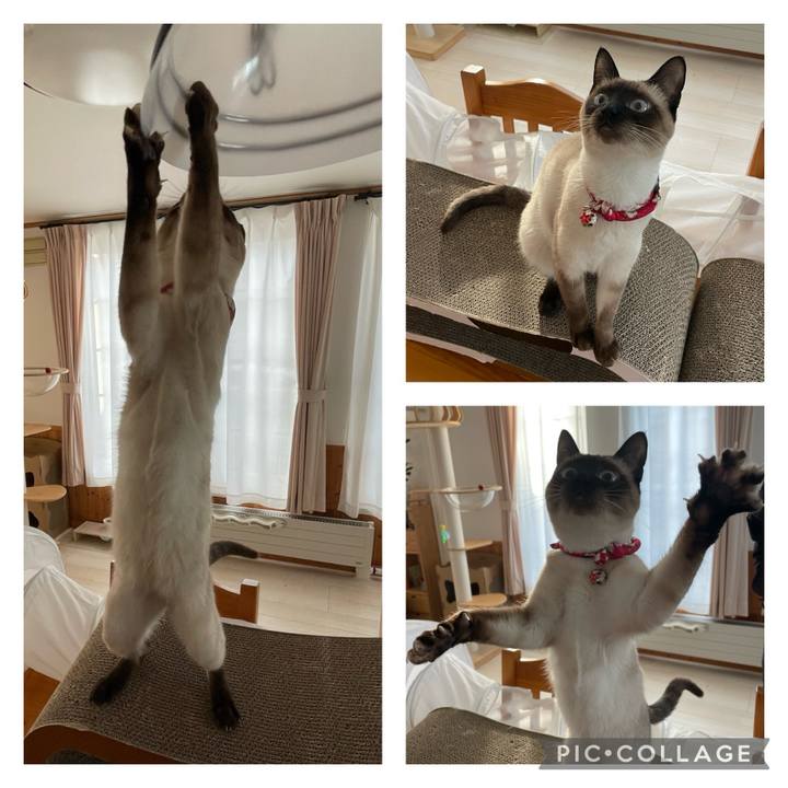 61c0e0a0 8aae 4a47 abdd 63c98f9c66cc 1708153802166