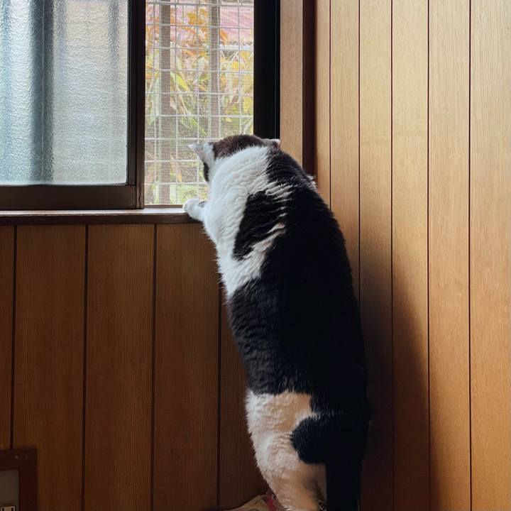 61c0e1a9 0942 49dd 9c74 97d587eee3b6 1654487169230