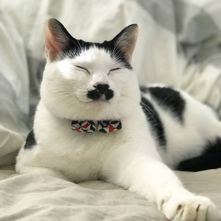 61c0e8da 5a19 48fc b423 2b2cfd7ca654 1511072134048