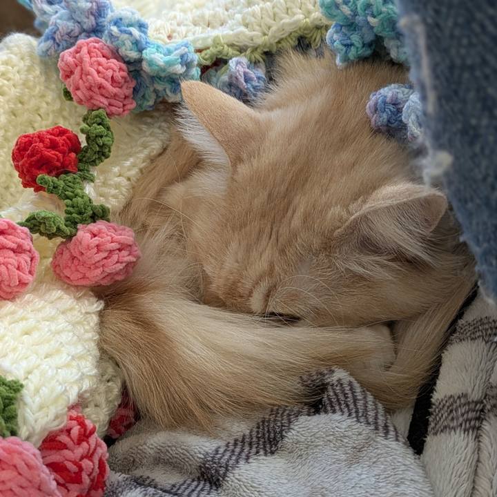 61c14c23 cb89 405a ab2c 3718fe02a4f8 1763258682178