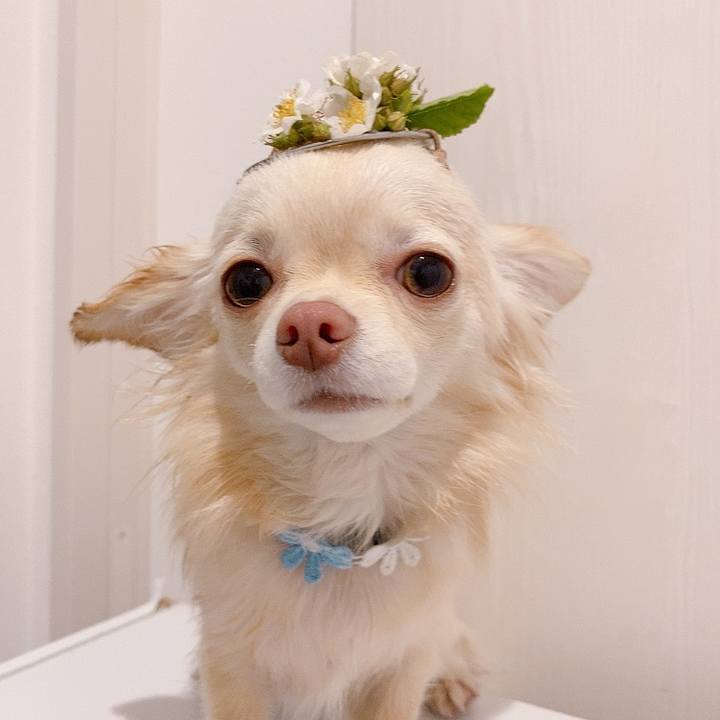 61c15000 bf5a 498d a804 c1a965fabb25 1619356542271