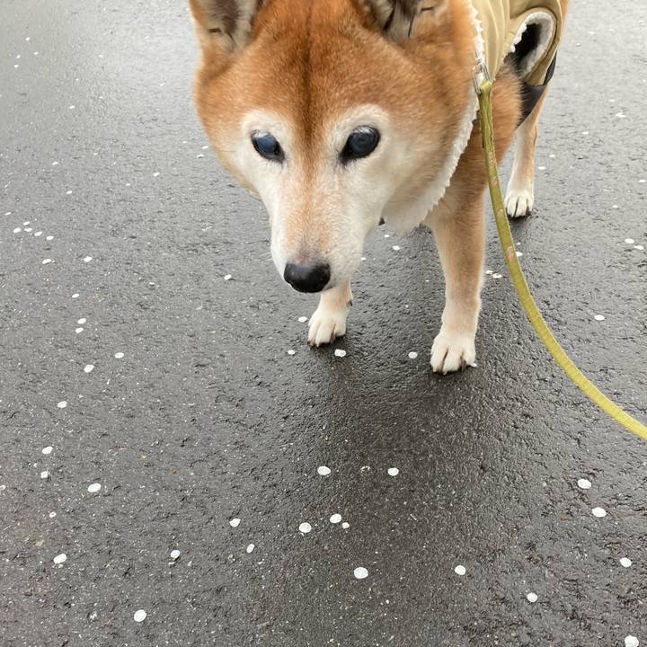 61c16317 99fe 4d86 8137 a1be623b7d0d 1705739460519