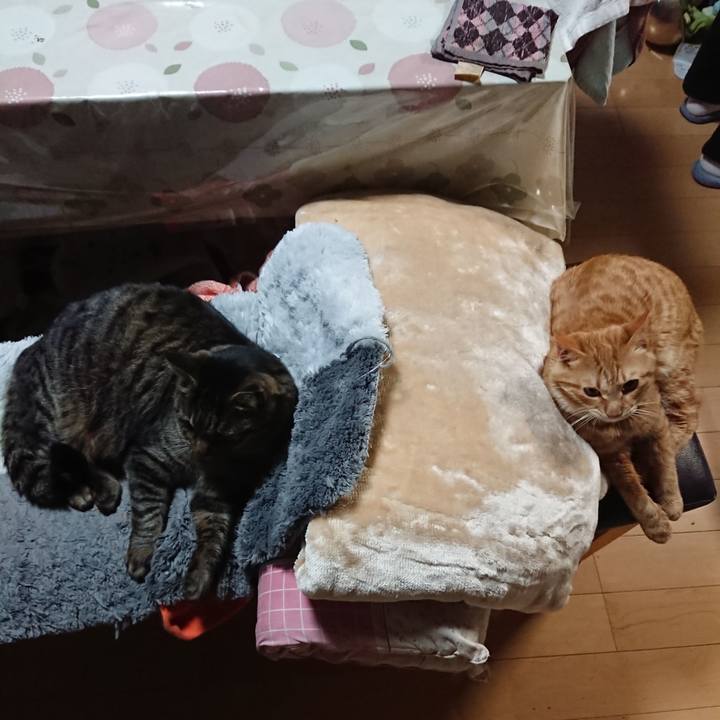 61c1b6f2 4e20 43f0 b00c a42b19595464 1640942316388