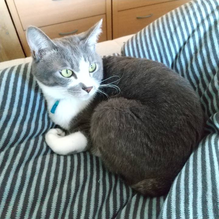 61c1cef1 2968 4258 84e0 1ad782e732da 1618099819443