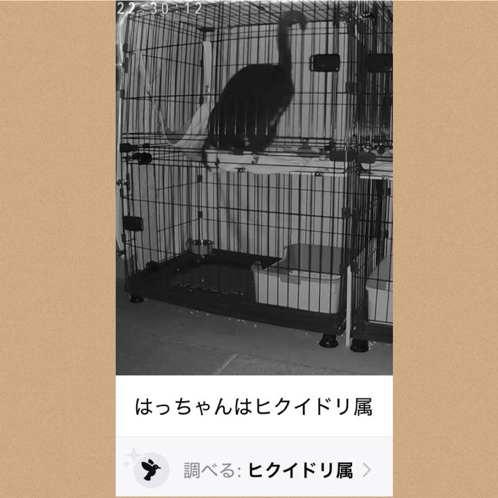 61c1e99b 35d7 4dfb bedb eb206d5a9346 1735585480261