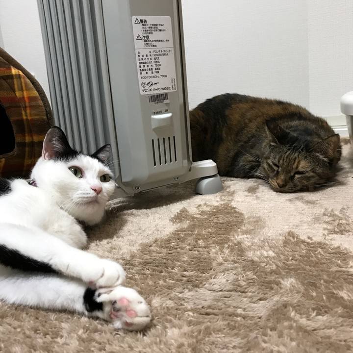 61c1fbac 97f1 4626 94ad 303c80ae5fb3 1513251676757