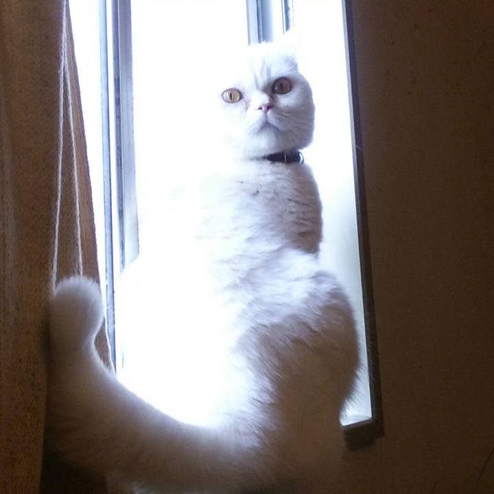 61c25bd9 5a87 4128 9c46 db2923dbc04c 1515379944528