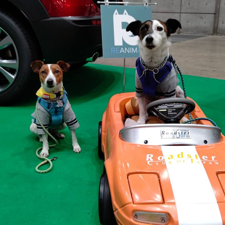 61c26dac 2120 43b8 9f35 f50b62f0d8a1 1617368045402