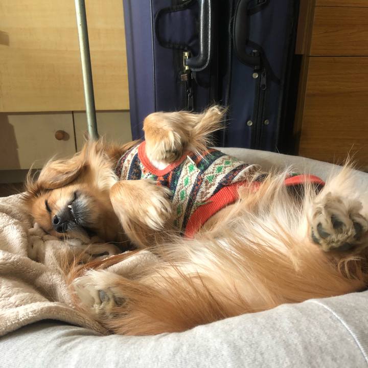 61c27514 9440 4206 9f8b 0658ff9efac6 1546221894967