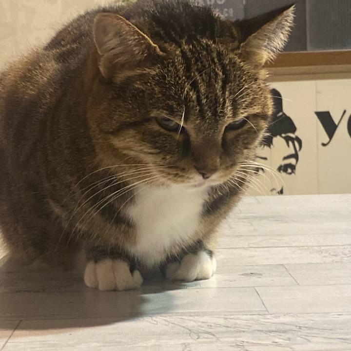 61c2cf53 1c83 46df ab3f 34b2681462be 1697283498907