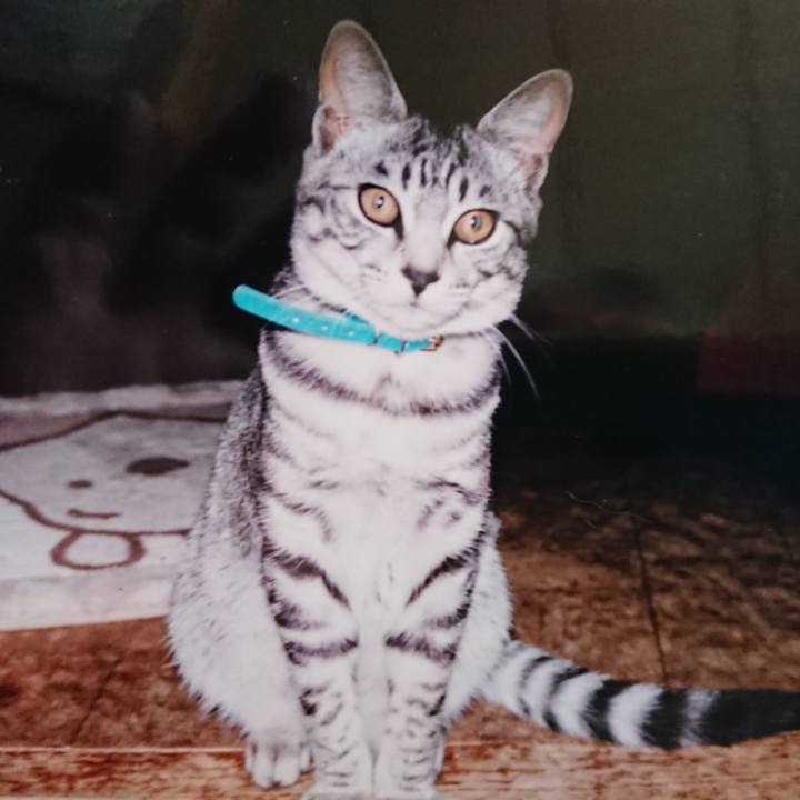 61c2dbd5 01d6 462d a5e3 37e8a539e3c6 1600977066626