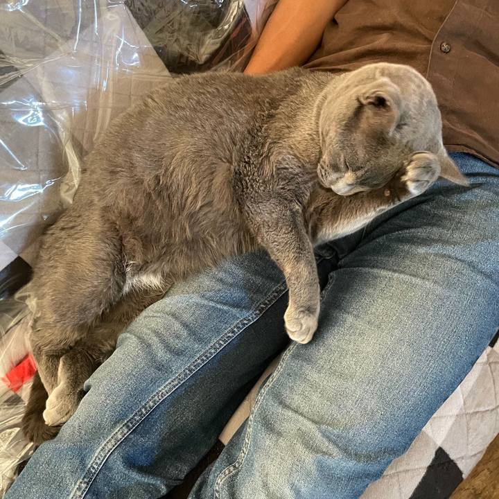 61c2deab 22a4 474e b0b6 ae833a4b2006 1695169158124