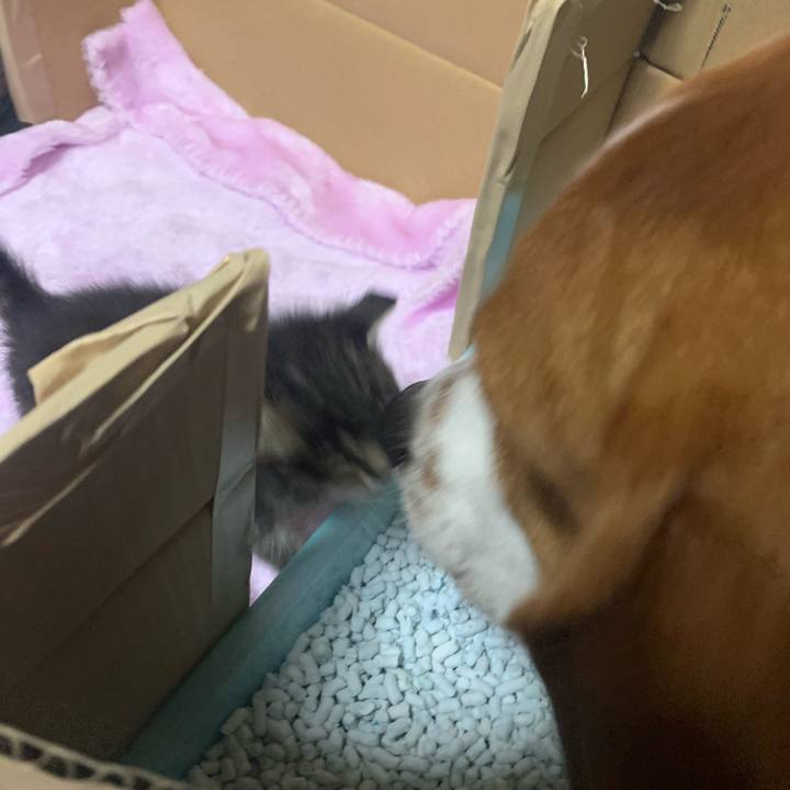 61c31651 1b31 44f3 9156 7377d42d7976 1563804161561