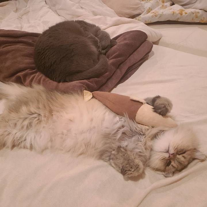 61c35563 0835 4d71 bda2 6ba9fc62afb1 1651631798572