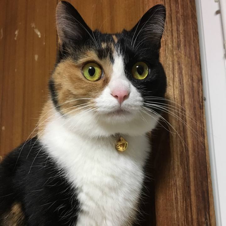 61c40b46 f4fa 43c1 9ec7 6df9b7367c12 1515507049886