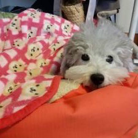 61c40d7f 906b 4507 91bf f3dfa48f88d0 1540422780684