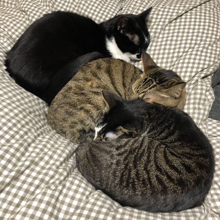 61c4192f 9698 4277 8b9a c4bfd09ac951 1542875704595