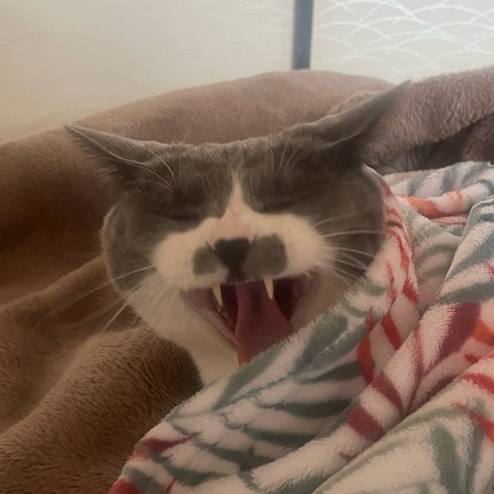 61c43879 bc1c 44d7 a140 da4208827678 1706312449467