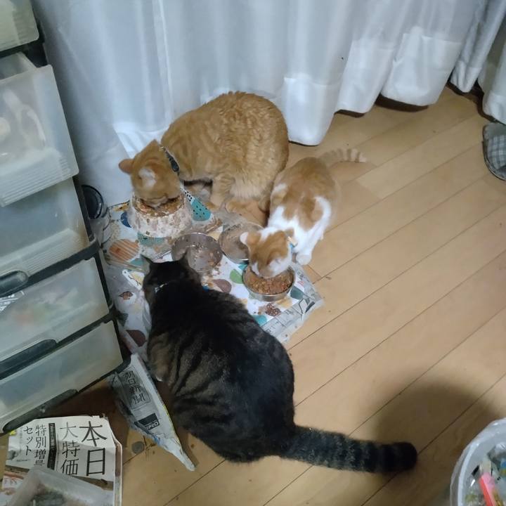 61c4769e 1ba2 40f3 acc3 ed822ad43426 1732486260314