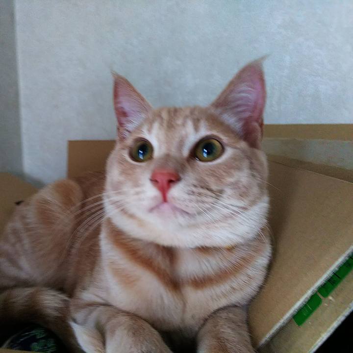 61c47ae5 3941 4e80 beef 1a00a097becd 1547851433520