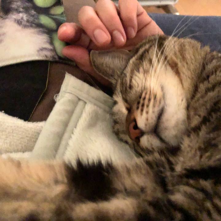 61c4cfaf d604 4dfb 9902 66df1750515e 1605563238629