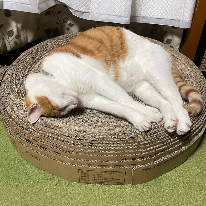 61c4e936 95c9 40f9 9eb7 90d93ca47c03 1695549962680