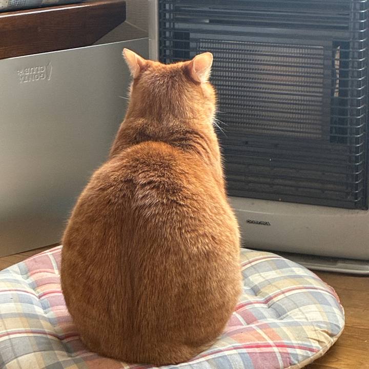 61c4ffe7 2941 4e63 a49b 6c4377fb03f9 1771731646717