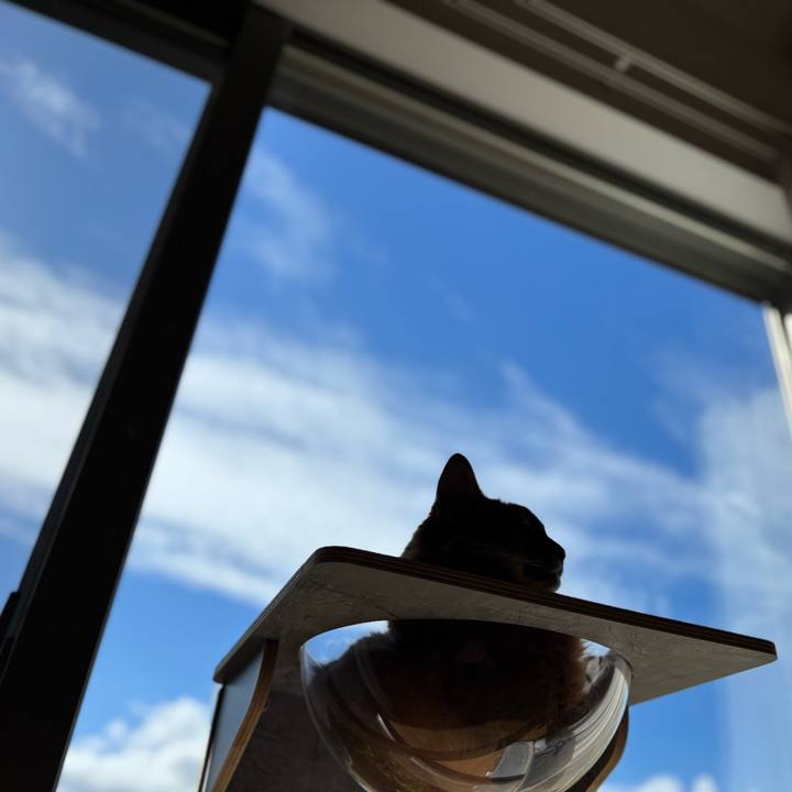 61c513e3 814d 45e8 82a0 f041cefeb688 1759227656107