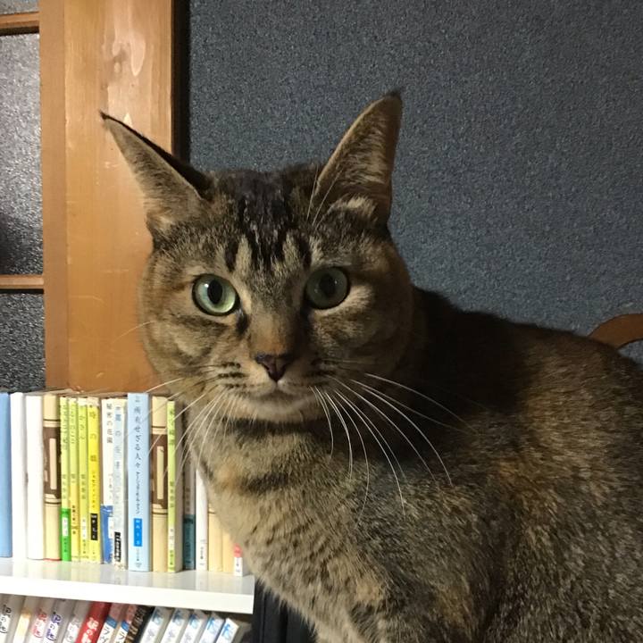 61c54345 96a9 423d a06b f63c7e9493f4 1637828207464