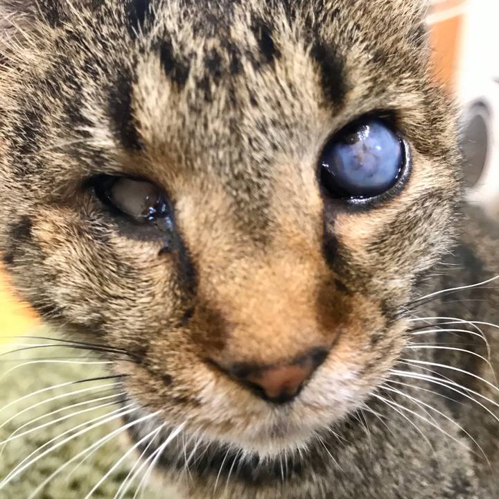 61c5651b 374c 4555 839e 45464691769f 1578704385843