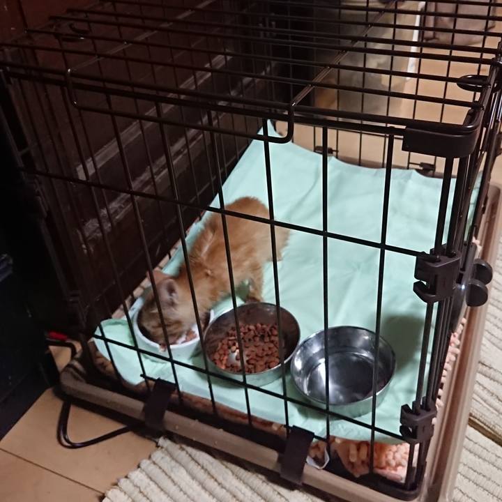 61c57af4 45de 46bc 9d05 01cb80849c6b 1627731913574