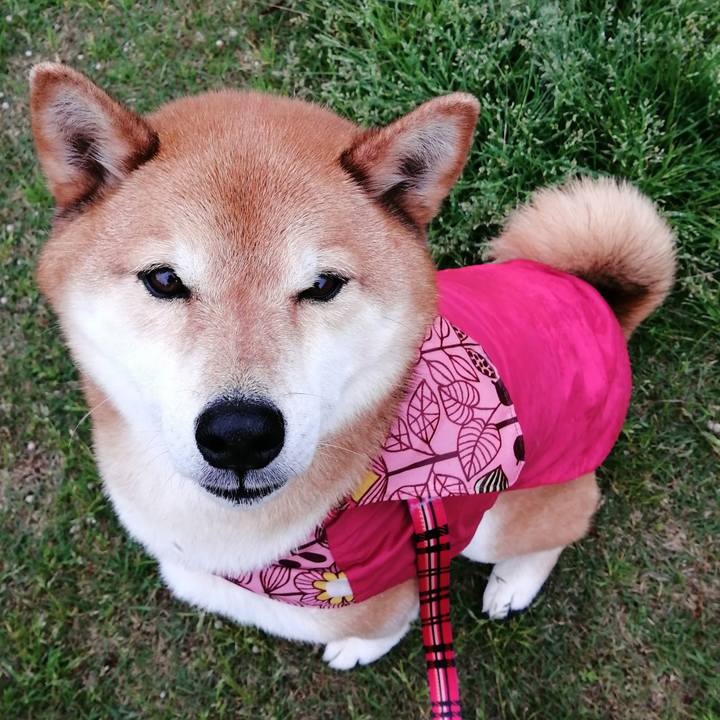 61c597e0 27e5 40f5 9344 dbedec4f355e 1681543477070