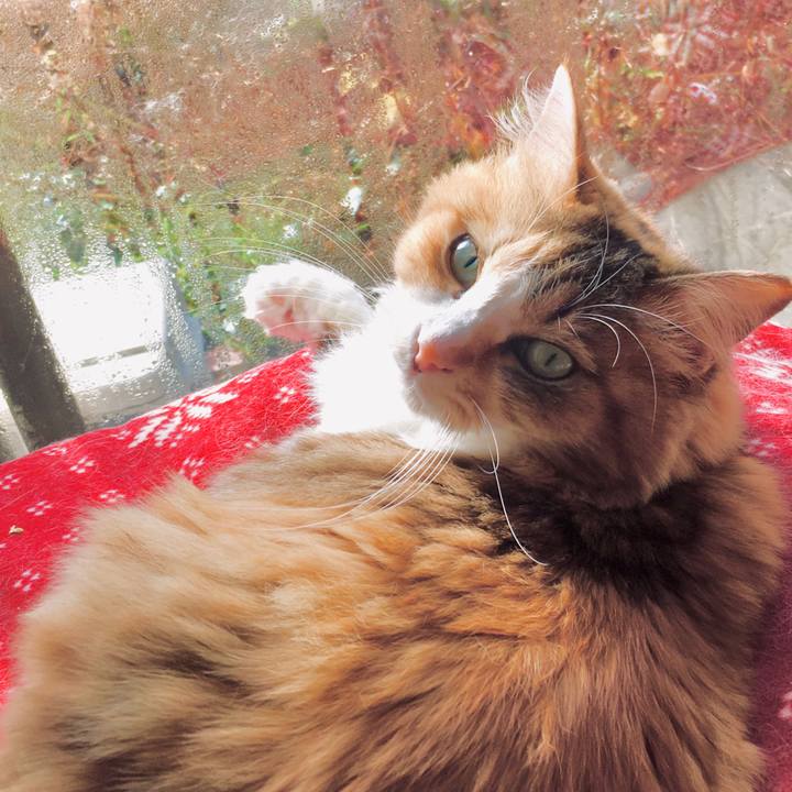 61c5ed49 b579 4fd6 af79 6a24b4283ed3 1574925130486