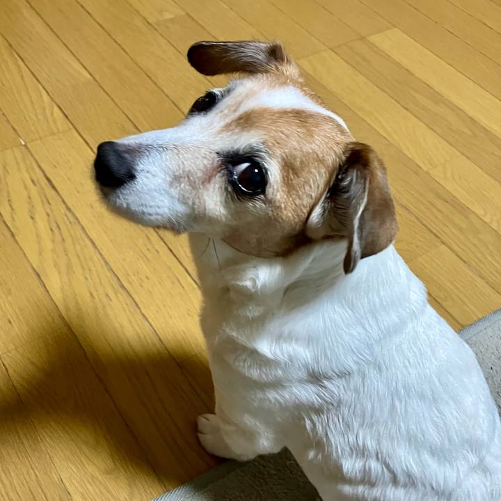 61c6364f b252 4a95 b5db bd55ce29519e 1710590517075