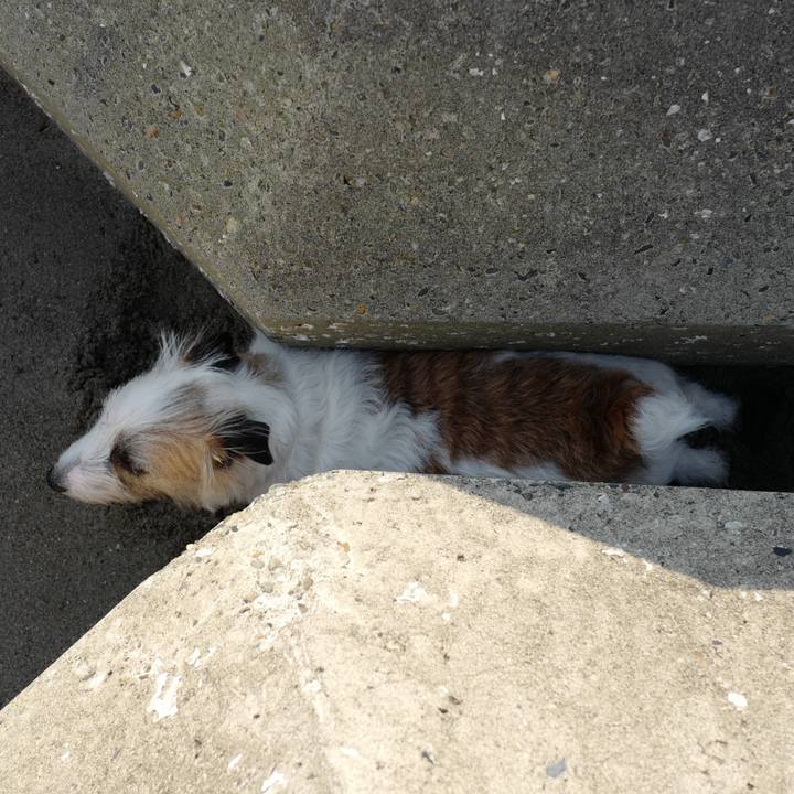 61c673e7 2953 4216 9a1a 8922ab0b4836 1551588936782