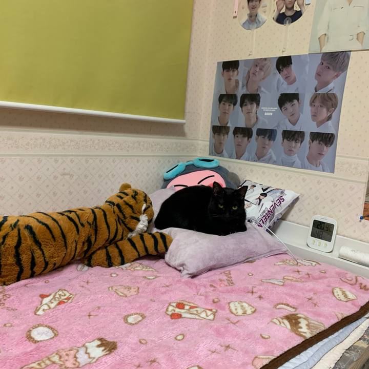 61c69066 456b 49b0 8223 a01ea12230fb 1577549328551