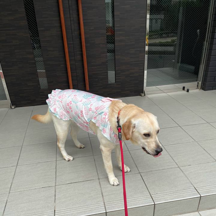 61c6b44d fdde 432a a5b5 c918f373b2df 1632485712496