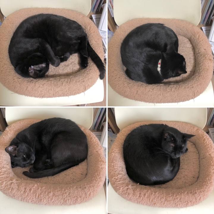 61c71fad c405 434a b4f8 b767fb86acb5 1617373498412