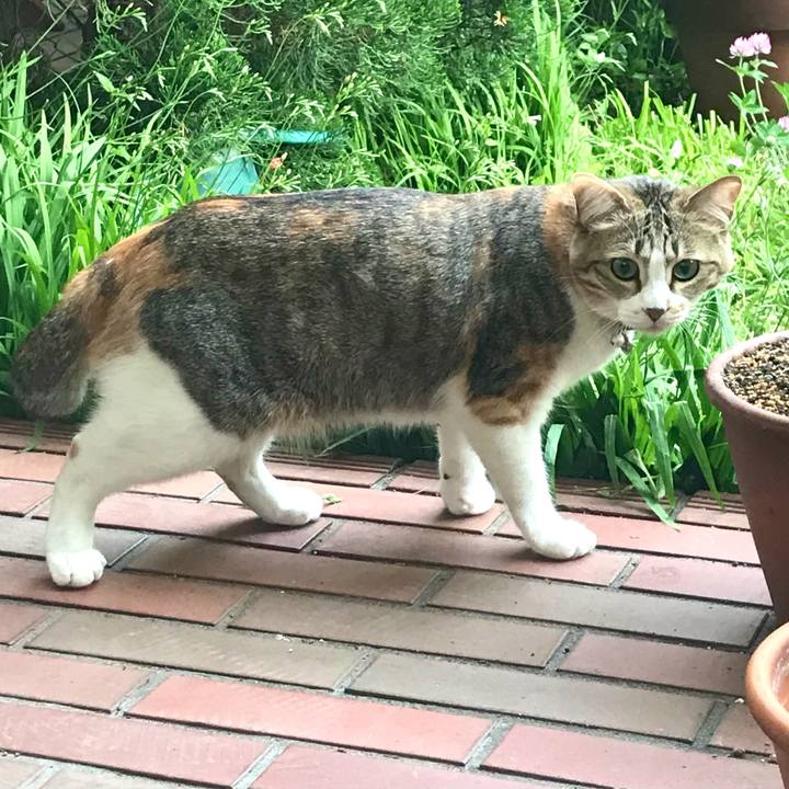 61c732c2 b937 47be 8bcc 1b8b402eabf5 1619534309759