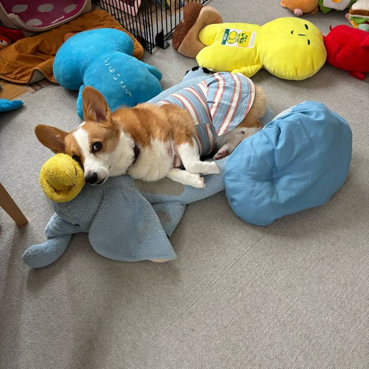 61c74c8d e439 413b b52f 27bc801cd617 1757638600475