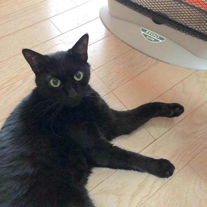 61c77a6f 9aaa 4be9 b12e d14125e527f6 1574470817685