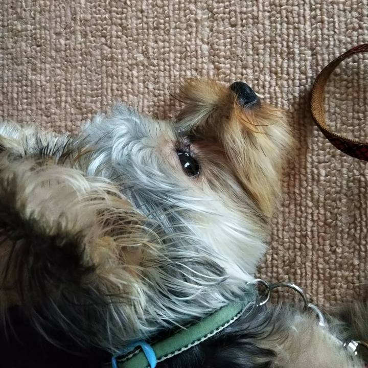 61c77d01 a679 49a9 97a2 40a54f973285 1540548758734