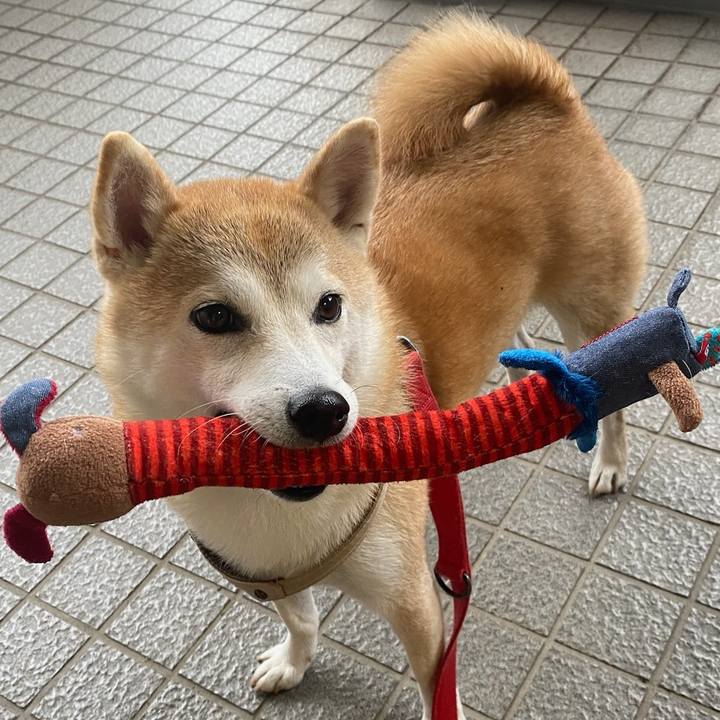 61c78957 26a8 4dd8 aa3e 27f28374c2ab 1732568856197