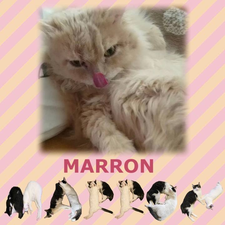 61c7ab34 6184 4f89 b12c ffe06314122b 1670901618267