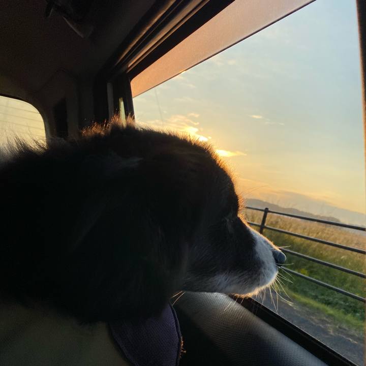 61c7dbe3 6cc3 46e7 ad09 839423d5023a 1666908381926