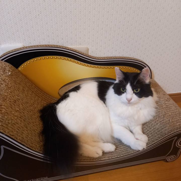 61c7e344 6c67 4dec 82a6 8ea77350f259 1604319132847