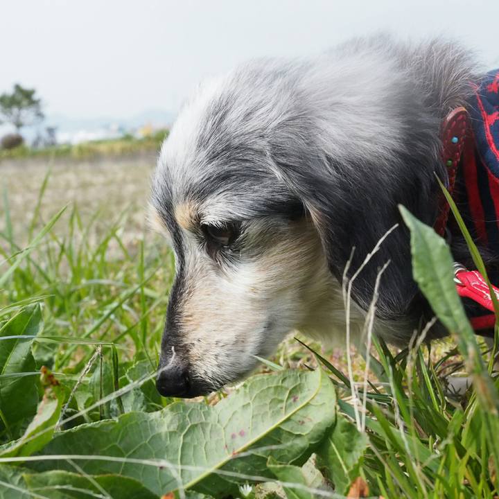 61c7f1e8 fe58 44c9 aeeb 6de37637ffdd 1517960131375